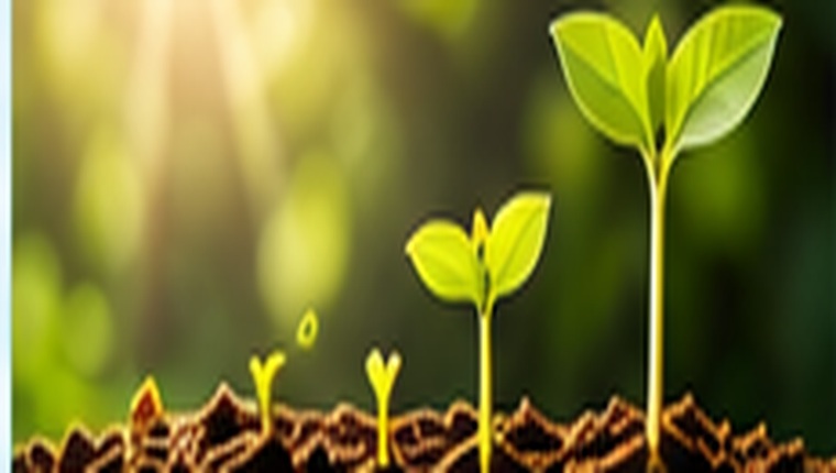 Growing plants representing future learning